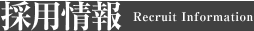 採用情報